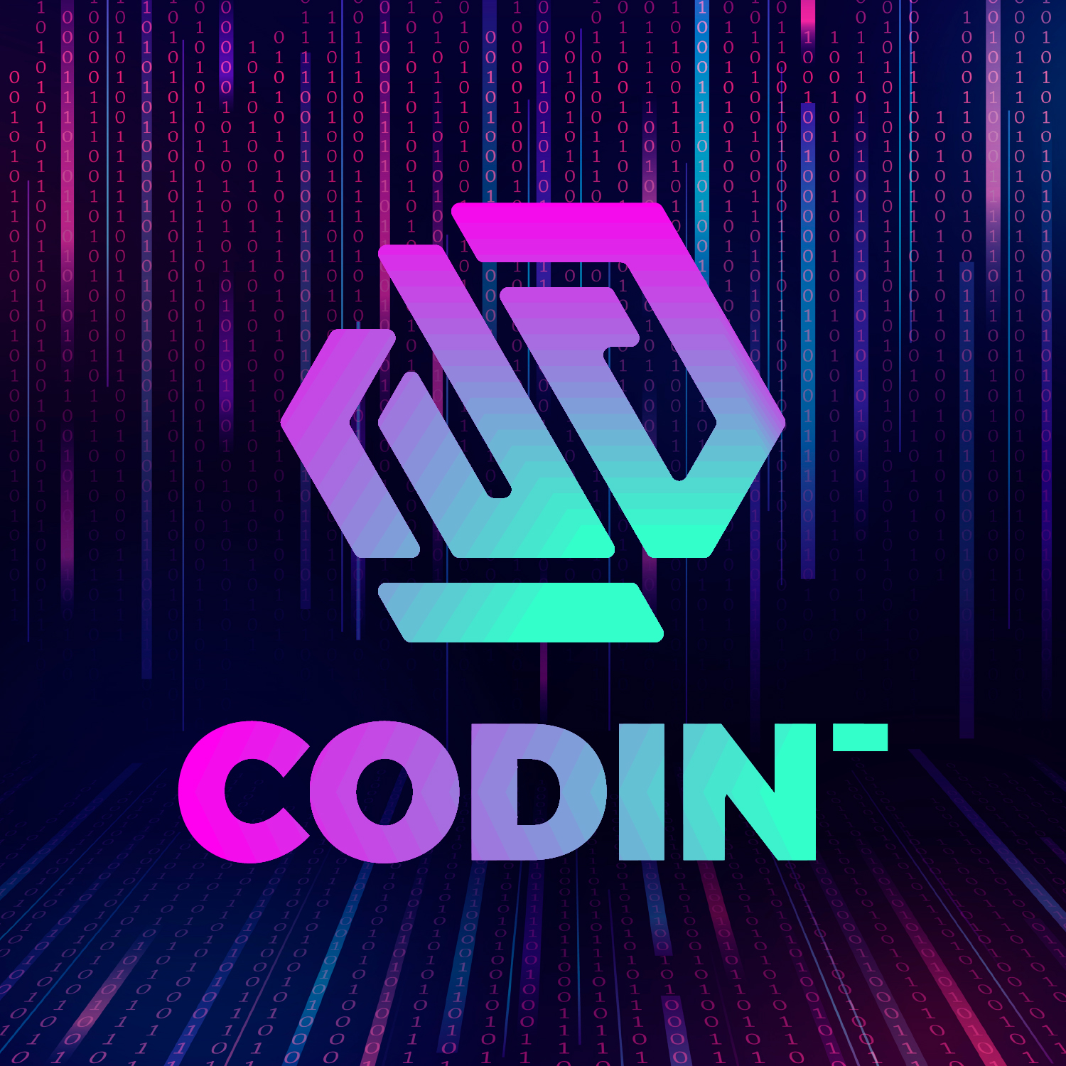 CODIN 2023-CASE